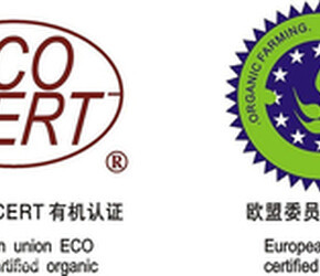 太原地理標志商標代理 守護地方特色，助力品牌崛起